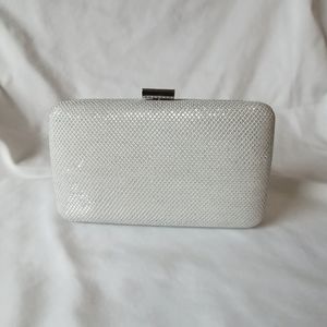 Silver Clutch